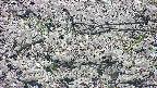 takano4-20250507164059.jpg