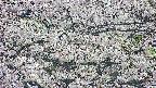 takano4-20250507165059.jpg