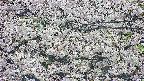takano4-20250507171100.jpg