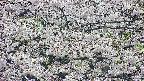 takano4-20250507172058.jpg