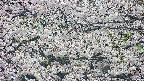 takano4-20250507173059.jpg