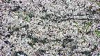 takano4-20250507174101.jpg