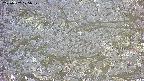 takano4-20250507175059.jpg