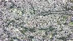 takano4-20250507181059.jpg