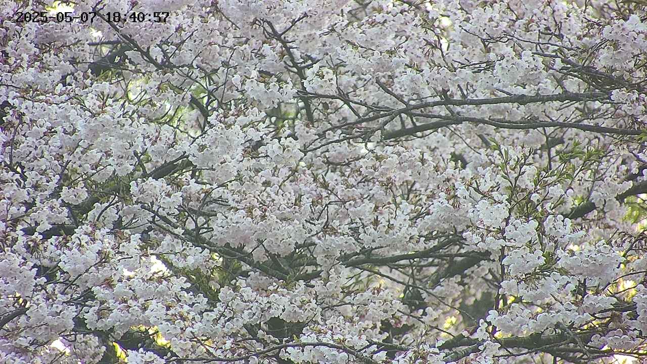 takano4-20250507184059.jpg