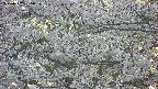 takano4-20250507185058.jpg