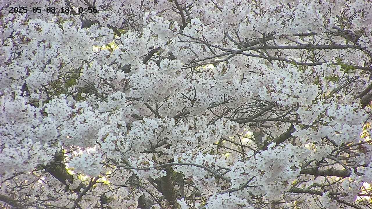 takano4-20250508184057.jpg