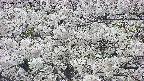 takano4-20250509133058.jpg