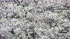 takano4-20250509152100.jpg
