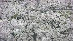 takano4-20250509162100.jpg