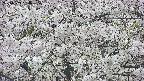 takano4-20250509164059.jpg