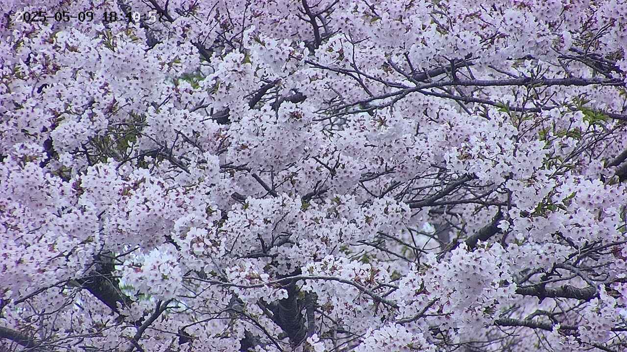 takano4-20250509184059.jpg