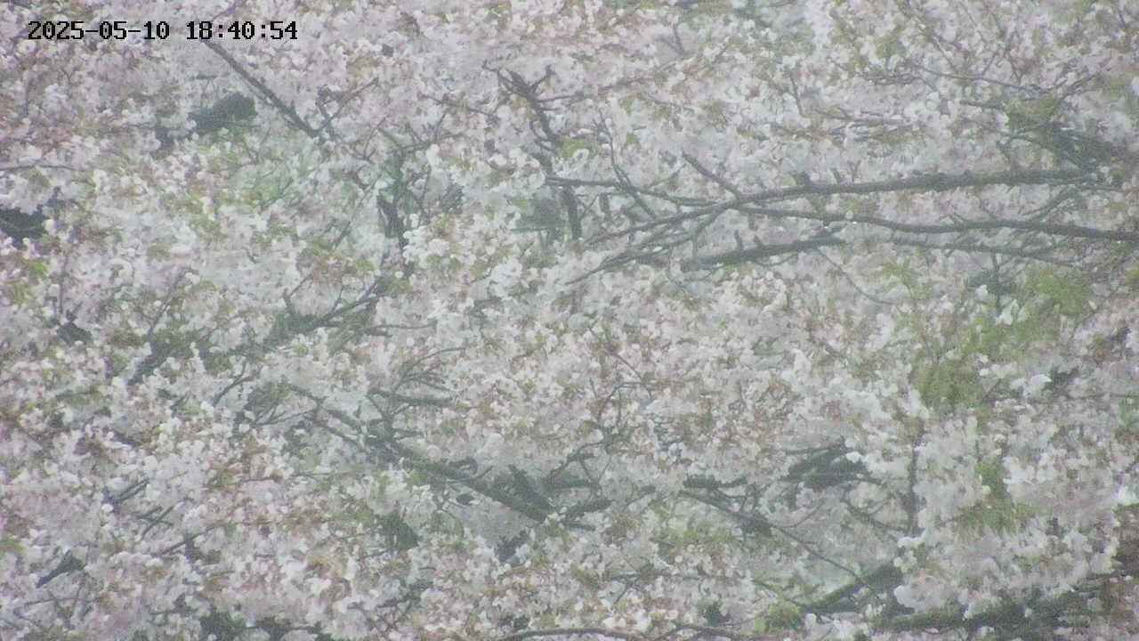 takano4-20250510184055.jpg