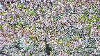 takano4-20250514080127.jpg