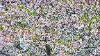 takano4-20250514081105.jpg