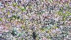 takano4-20250514082100.jpg