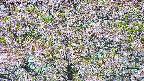 takano4-20250514084105.jpg