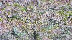 takano4-20250514085108.jpg