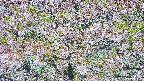 takano4-20250514093103.jpg