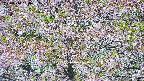 takano4-20250514094101.jpg