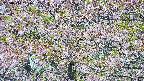 takano4-20250514101058.jpg