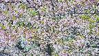 takano4-20250514103059.jpg