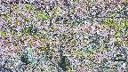 takano4-20250514114059.jpg