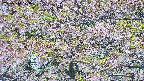 takano4-20250514123058.jpg