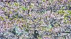 takano4-20250514125058.jpg