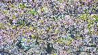 takano4-20250514130109.jpg