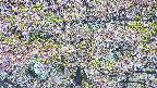 takano4-20250514131101.jpg