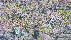 takano4-20250514132101.jpg