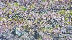 takano4-20250514134058.jpg