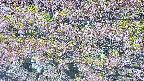 takano4-20250514135058.jpg
