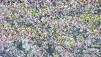 takano4-20250514143101.jpg