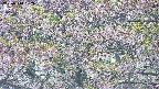takano4-20250514152100.jpg