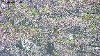 takano4-20250514154057.jpg