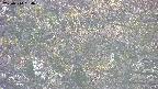 takano4-20250514164058.jpg