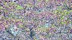 takano4-20250516050057.jpg