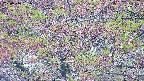 takano4-20250516051054.jpg