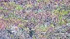 takano4-20250516052056.jpg