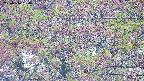 takano4-20250516054057.jpg