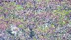 takano4-20250516055055.jpg