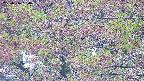 takano4-20250516060057.jpg