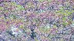 takano4-20250516061056.jpg