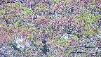 takano4-20250516062057.jpg