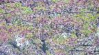 takano4-20250516063057.jpg