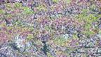 takano4-20250516064056.jpg