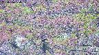 takano4-20250516070056.jpg