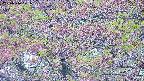takano4-20250516071056.jpg